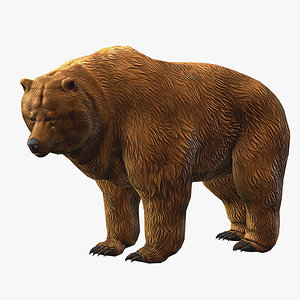 max brown bear animation