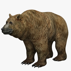 3d model hand bear fur