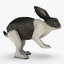 rabbit polygons 3d model