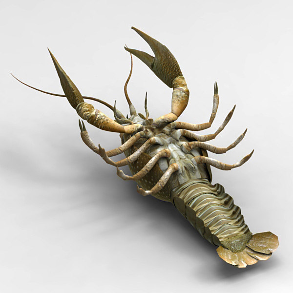 lobster zbrush