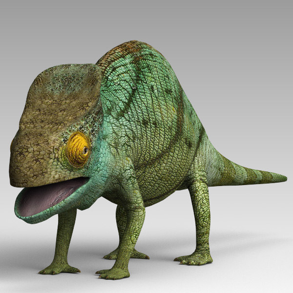 3d chameleon lizard model.