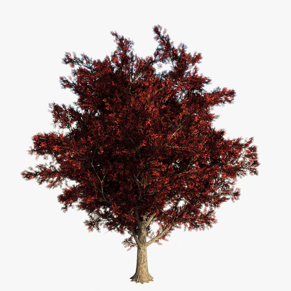 Tree Unity 3D Models for Download | TurboSquid