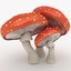 obj mushrooms amanita