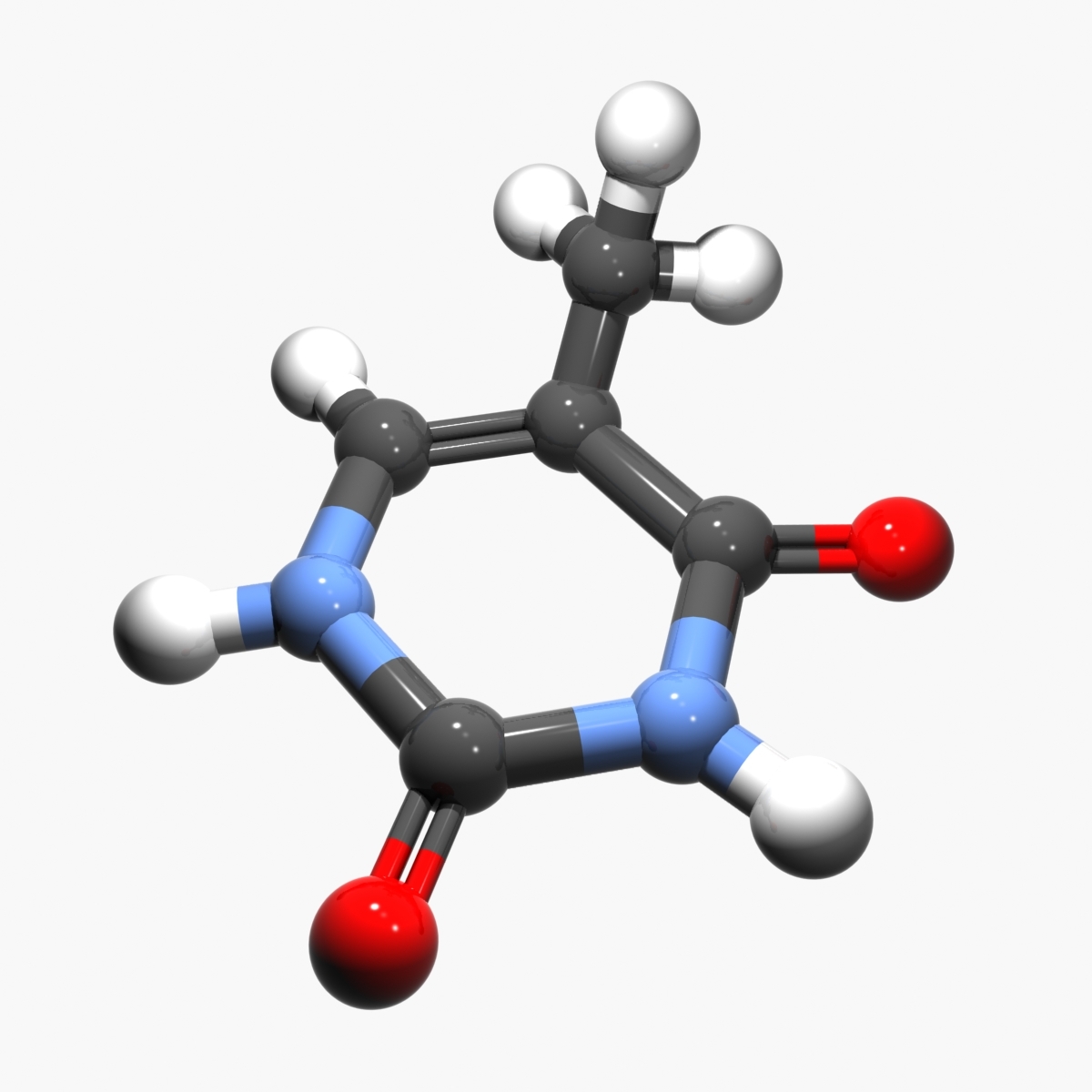 3ds-max-thymine-nucleobase-dna