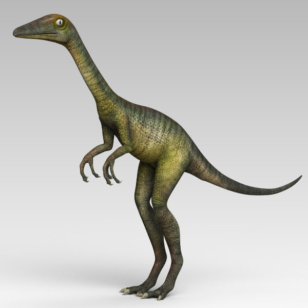 3d model cheetah3d troodon