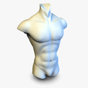 zbrush ready male torso 3d model