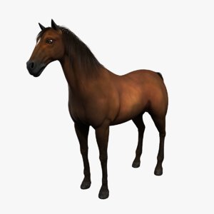 3d horse model