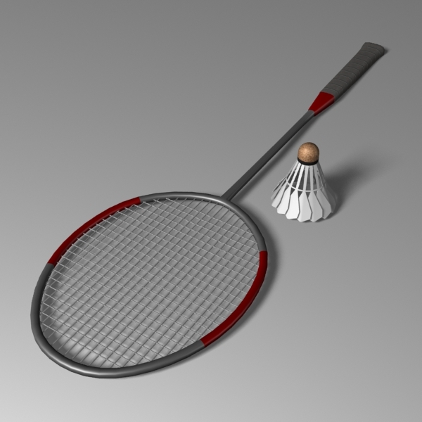 3d badminton racket