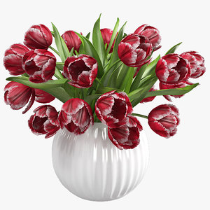3ds max red tulips vase