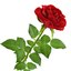 3d max rose flower