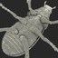 max rhinoceros beetle