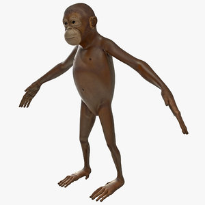 3dsmax orangutan baby