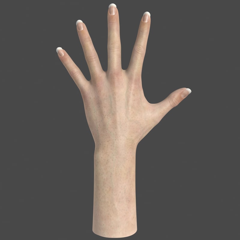 Realistic Female Hand 3d Max   P.bmp1d9c1342 283d 4454 84fa 8ba076a02185Original 