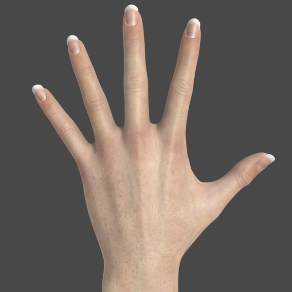 3d hand model for drawing