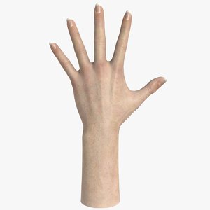realistic female hand 3d max