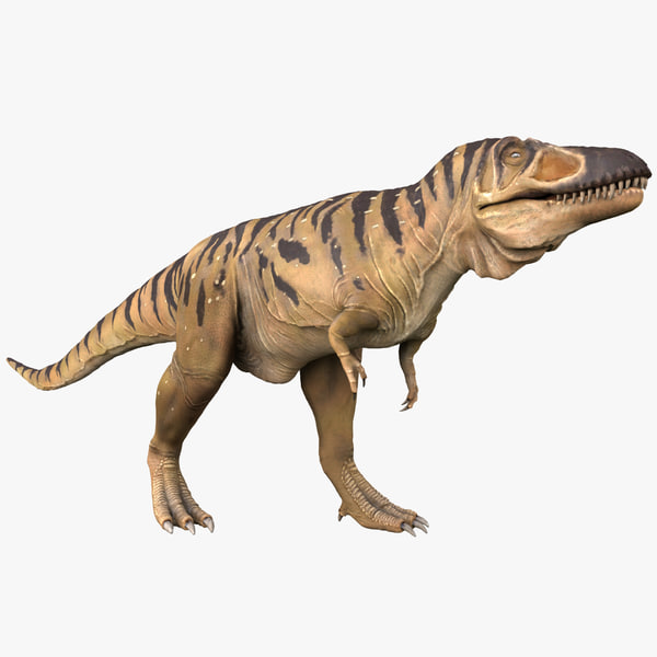 tarbosaurus 3d