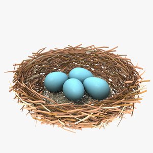 bird nest eggs 3d model