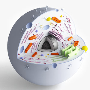 3d 3ds biological cell
