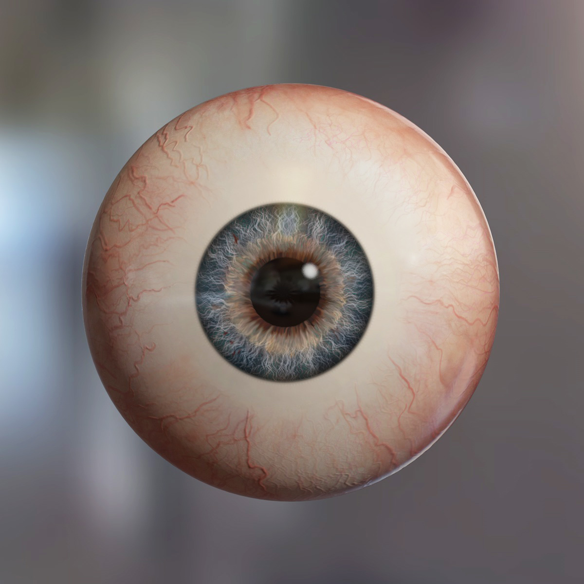 human eyeball eyes 3d c4d