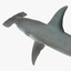 shark modeled 3d model