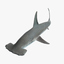 shark modeled 3d model