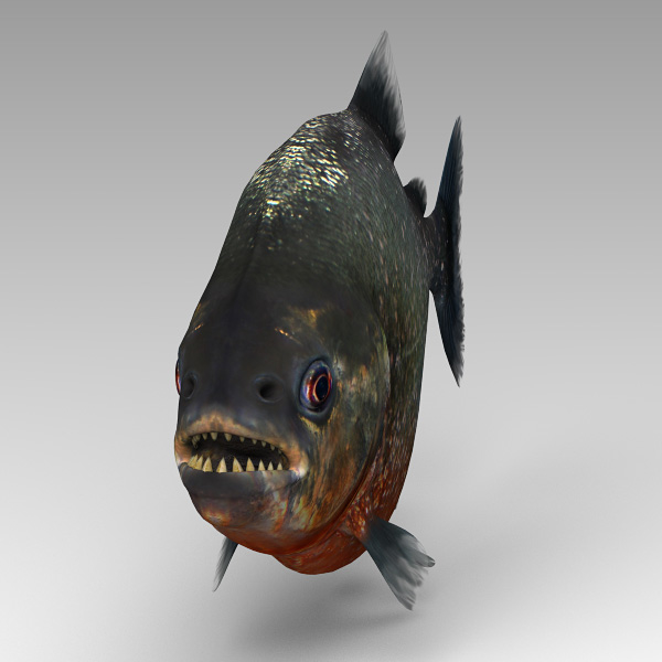 3d piranha cheetah3d model