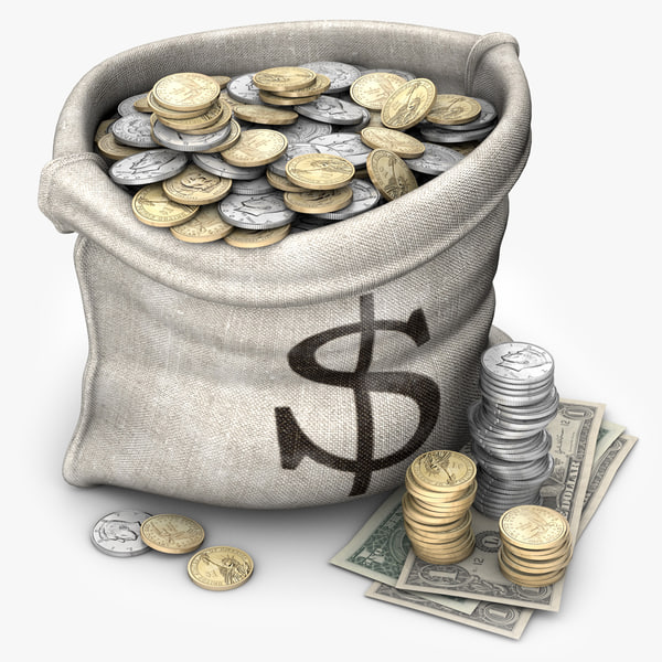 money bag 3d model