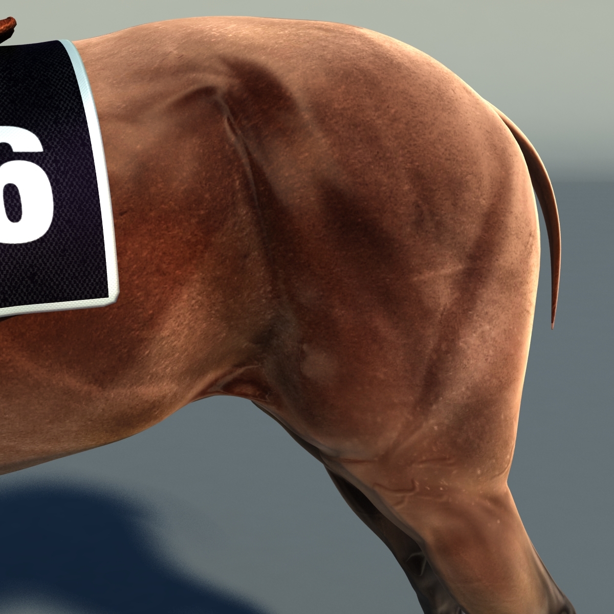 3d thoroughbred horse rig