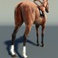 3d thoroughbred horse rig