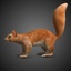 Белка д. Squirrel 3d model. Белка 3d. Белка 3д модель. Белочка 3d принтер.