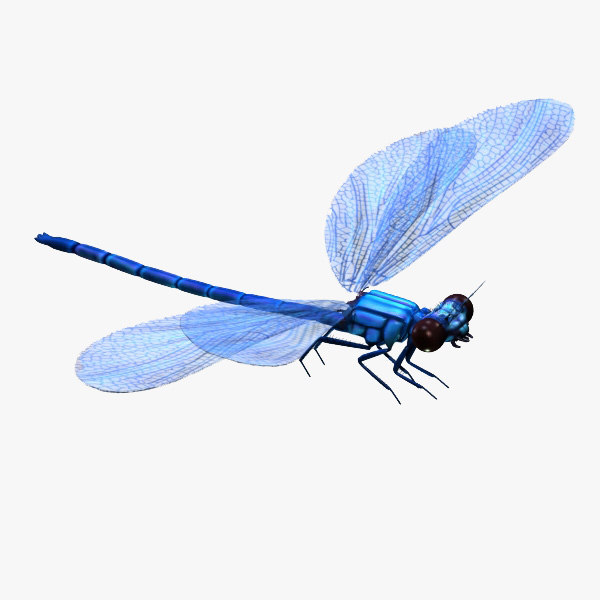 max realistic dragonfly