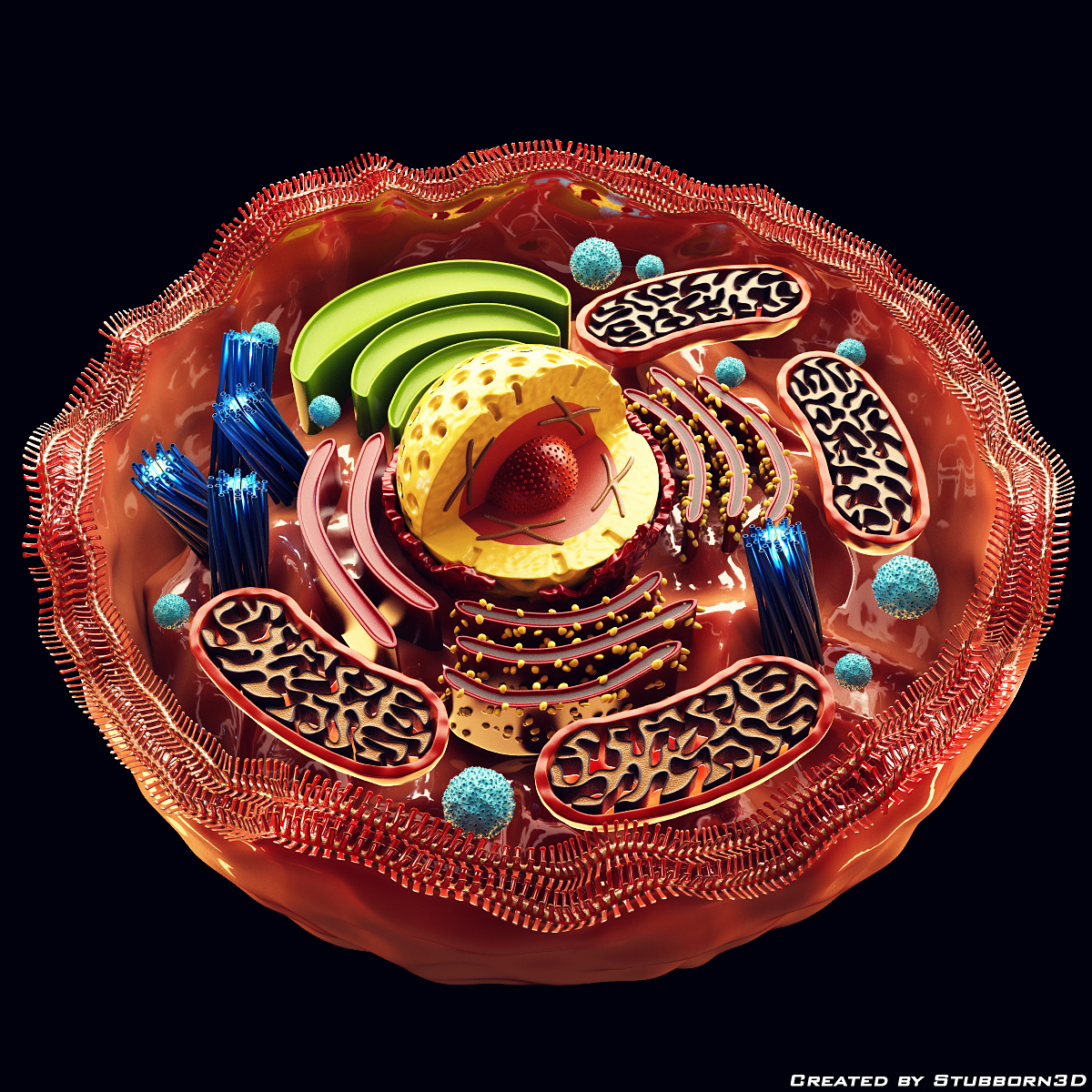 3d human cell