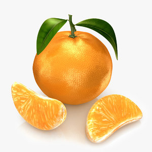 mandarine modeled 3d c4d