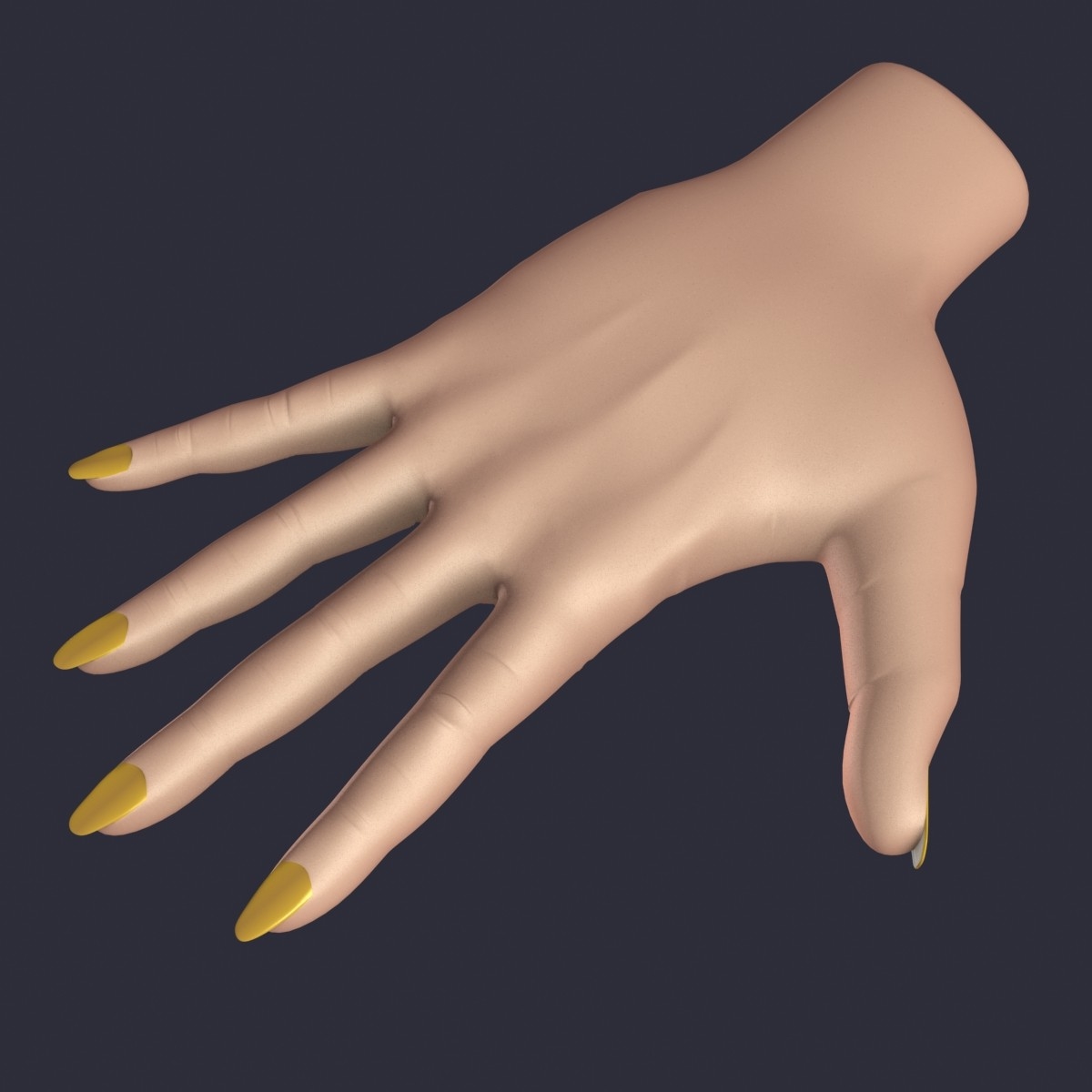 realistic female hand 3d model