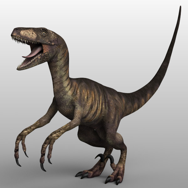 raptor dinosaur 3d