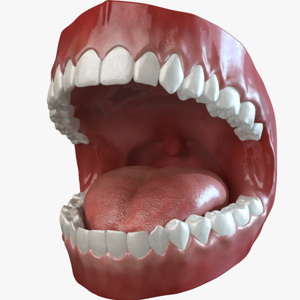 Зубы внутри рта