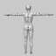 3d model of woman proportional human body