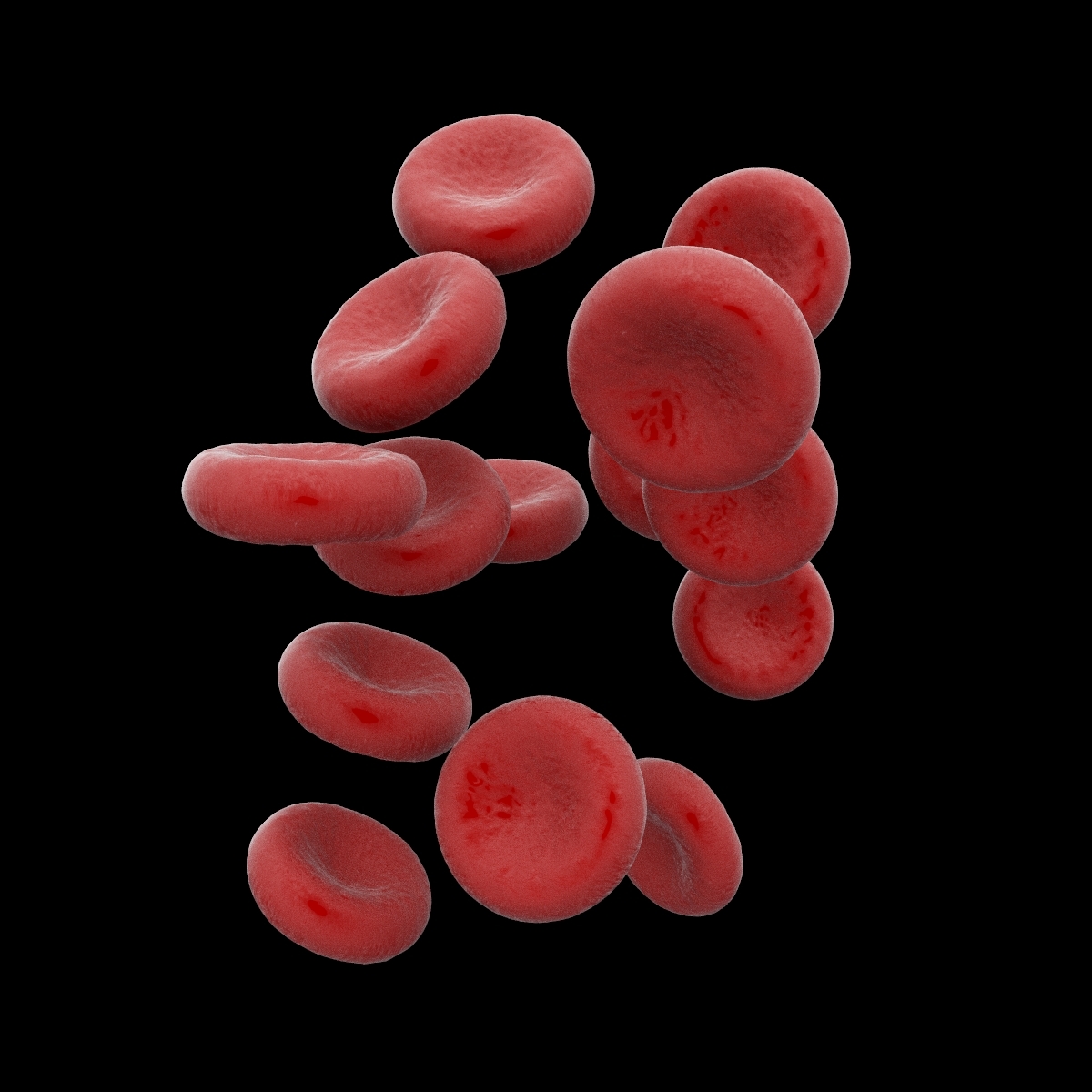 3dsmax erythrocytes