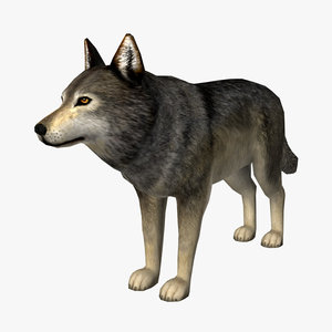 wolf edge loop 3d model