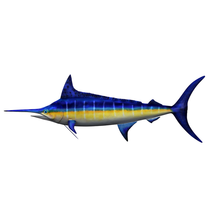 3ds max marlin fish