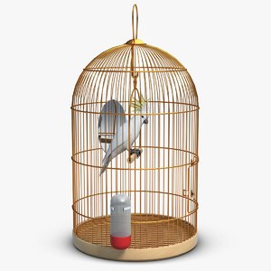 parrot birdcage max