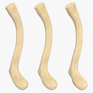3d clavicle bone