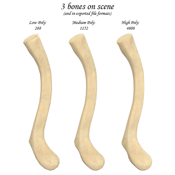 3d clavicle bone
