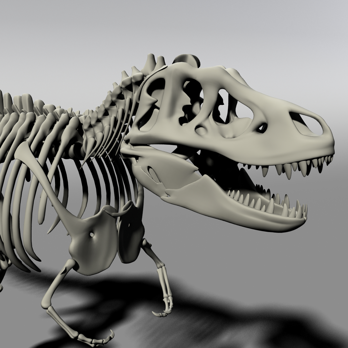 t rex skeleton 3d