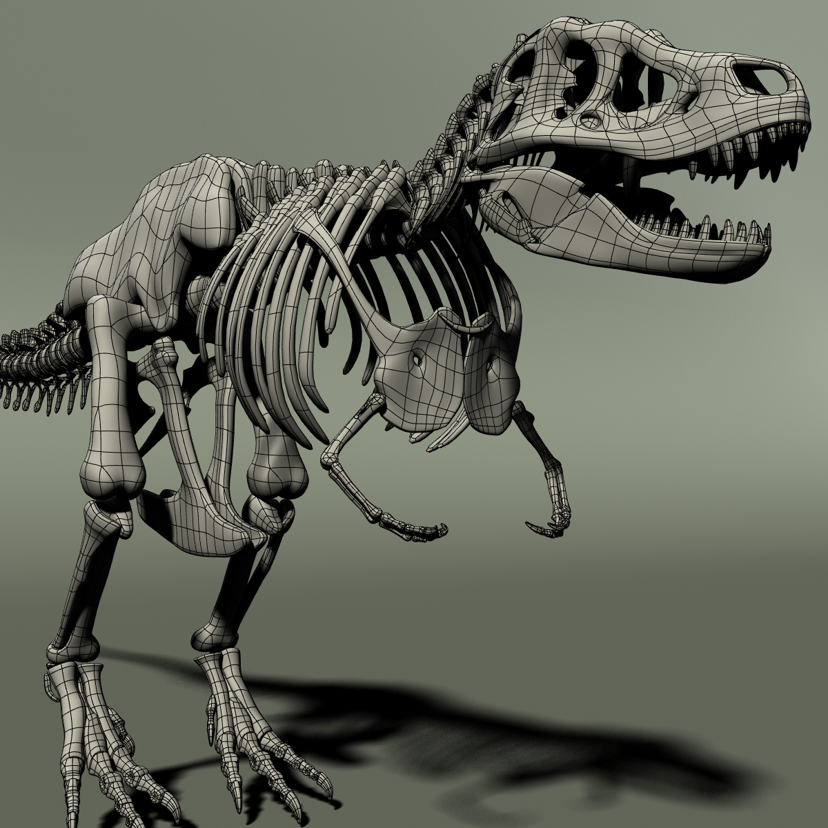 t rex skeleton 3d