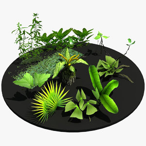 3d model water plants