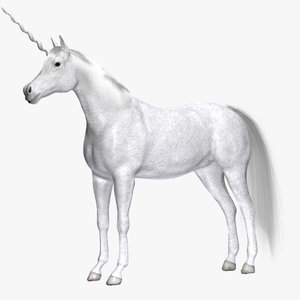 max unicorn animal horse