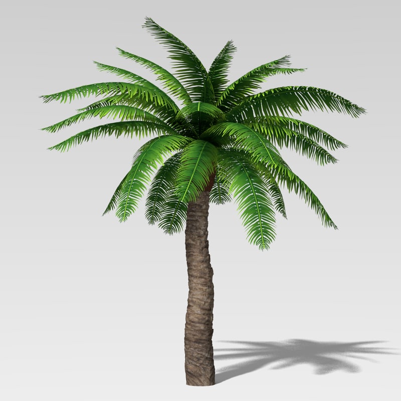 Palm tree 3d max