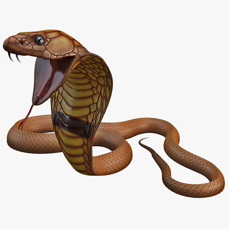 3d model snake cobra pose 4