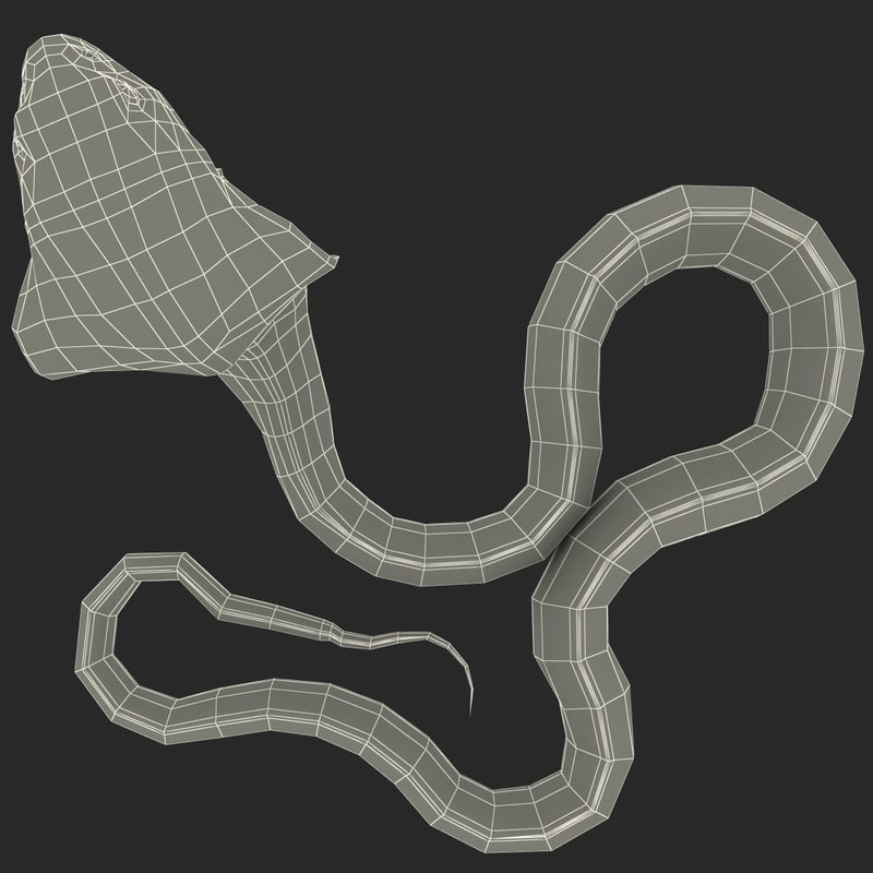 3d model snake cobra pose 4